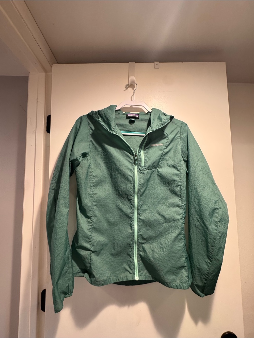Patagonia Seafoam Green Hooded Utility Jacket